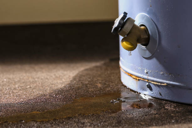 Best Carpet water damage restoration  in Duluth, GA