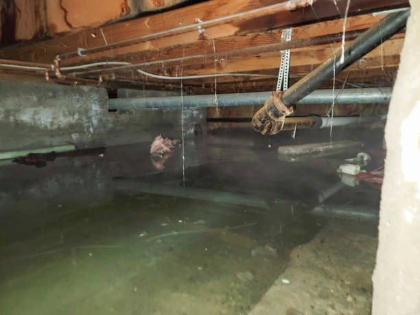 Best Flooded house restoration  in Duluth, GA