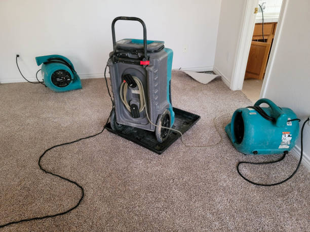Best Water damage mitigation services  in Duluth, GA