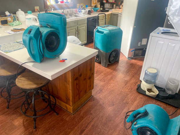 Best Flooded house restoration  in Duluth, GA