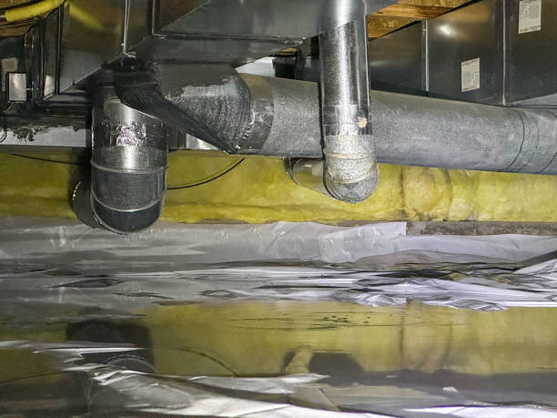 Best Flood damage cleanup  in Duluth, GA