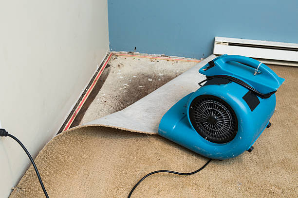 Best Fire Damage Restoration  in Duluth, GA